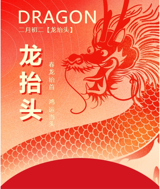 二月二龍?zhí)ь^，春龍振翅鴻運(yùn)啟 —— 佳木斯網(wǎng)云信息科技有限公司與您共迎新春盛景